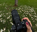 2h Ensaio Fotográfico